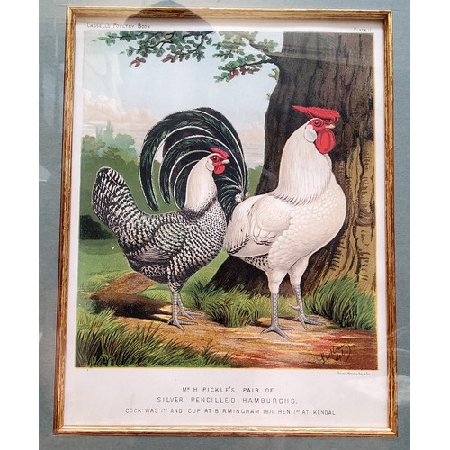 21 - An impressive set of twelve Victorian farmhouse kitchen chromolithography poultry related framed boo... 