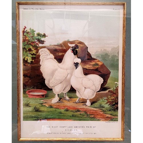 21 - An impressive set of twelve Victorian farmhouse kitchen chromolithography poultry related framed boo... 