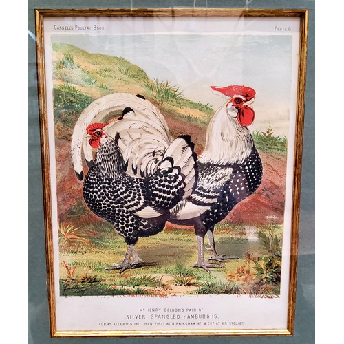 21 - An impressive set of twelve Victorian farmhouse kitchen chromolithography poultry related framed boo... 