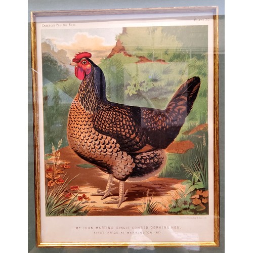 21 - An impressive set of twelve Victorian farmhouse kitchen chromolithography poultry related framed boo... 