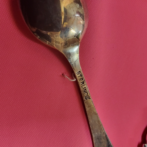 205 - A collection of spoons arranged on four trays, mainly Yorkshire & American examples