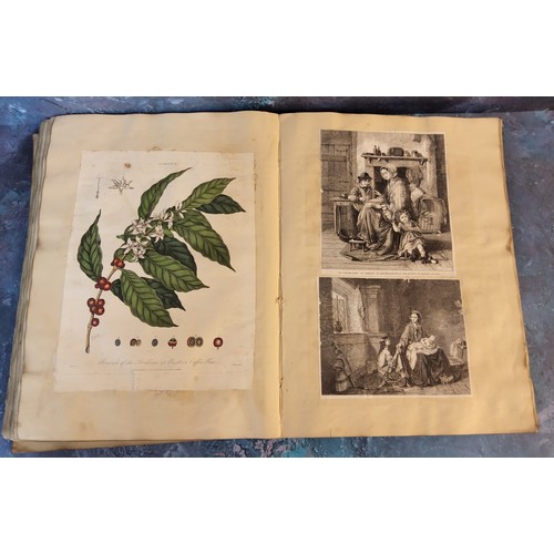 332A - Juvenalia - a Victorian scrapbook containing Natural History, Botanical, Aerostation,  Architecture,... 