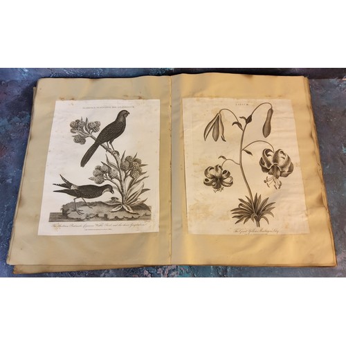 332A - Juvenalia - a Victorian scrapbook containing Natural History, Botanical, Aerostation,  Architecture,... 