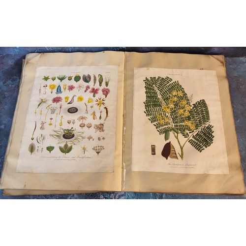 332A - Juvenalia - a Victorian scrapbook containing Natural History, Botanical, Aerostation,  Architecture,... 