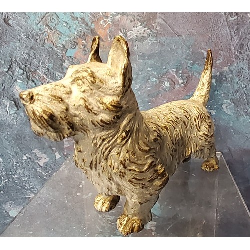 184 - Austrian School, c.1920, a cold painted bronze, of a West Highland Terrier, 10cm wide