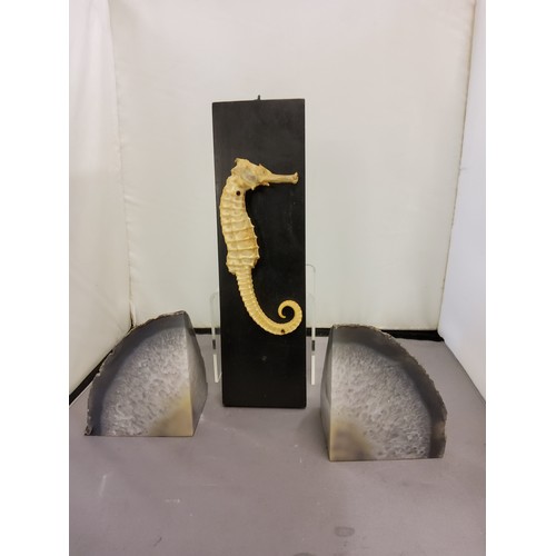 70 - Natural History - a seahorse, mounted, 16cm long;  two geodes (3)