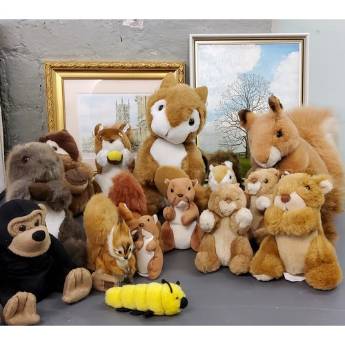 194 - Toys - Beanie Baby squirrel;&nbsp; other soft squirrels;&nbsp; pictures;&nbsp; etc