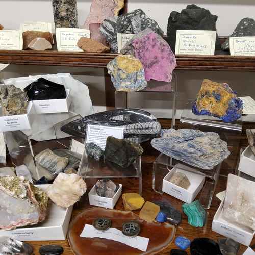 663 - Natural History - Geology - a large and academic collection of minerals and fossils, mostly annotate... 