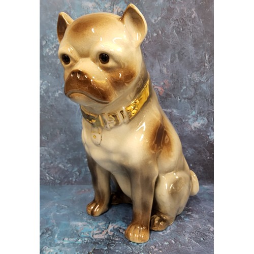 53 - A large Victorian Staffordshire pug dog, gilt collar, 34cm high, c.1870