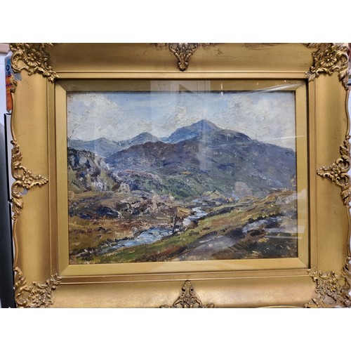 570 - Herbert Royle (1870-1958), Extensive moorland landscape, signed, oil on board, 29cm x 39cm