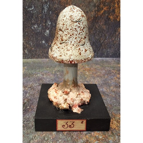 672 - Natural History - Mycology - a painted model of a fungus specimen, mounted for display, 15cm high