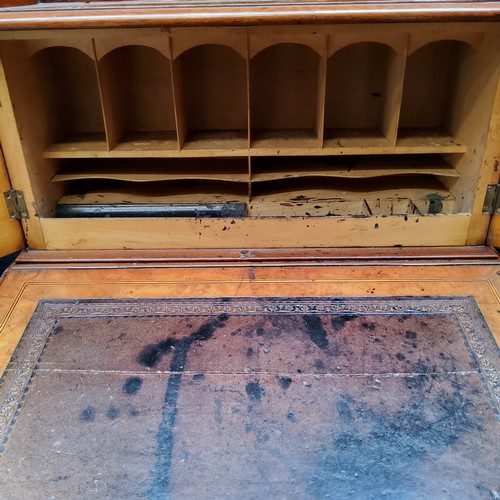 795 - A Victorian burr walnut Davenport, the pierced fretwork gallery above two satinwood inlaid cupboard ... 