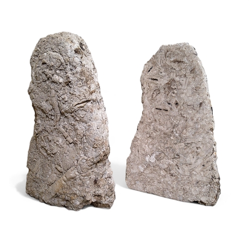 857 - Local Natural History - a pair of Derbyshire limestone bookends, fossil inclusions, 31cm high