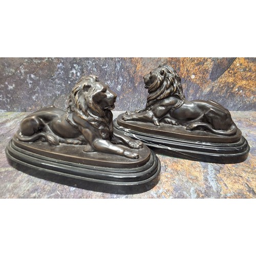 504 - English School, a pair, dark patinated bronzes, lions, reclining, oval marble bases, 29cm wide