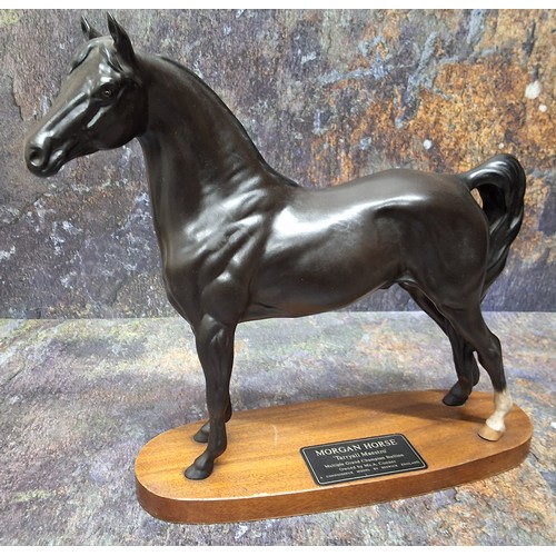 17 - A Beswick Connoisseur model, of a Morgan Horse, Tarrayall Maestro, Multiple Grand Champion Stallion ... 