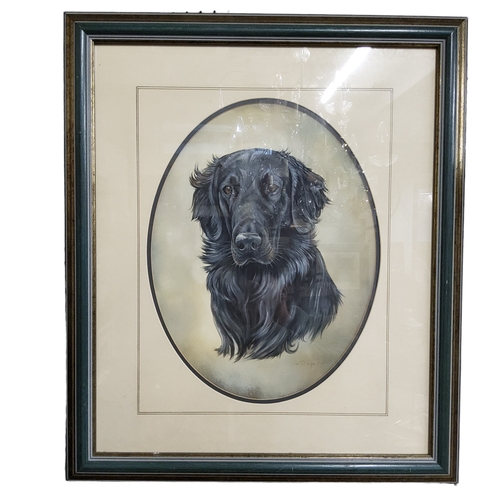 116 - M. Hoyard***(20th Century English School), Long Haired Retriever dog portrait, gouache on canvas, 53... 