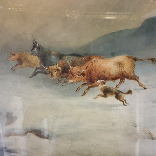 141 - Scottish School (19th Century), 'Highland Cattle off the Track', watercolour, indistinctly signed, d... 