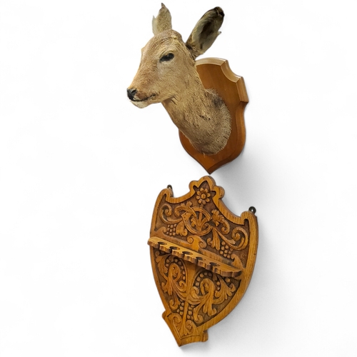 466 - A taxidermy doe deer trophy mount; a Victorian style oak shield shaped club house cue stand (2)