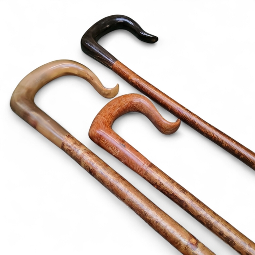 480 - Three tall shepherd crooks, two baring jig formed cow horn handles, another burr, straight hazel sha... 