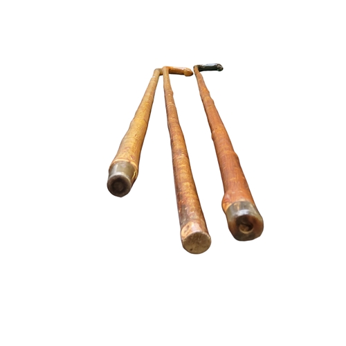 480 - Three tall shepherd crooks, two baring jig formed cow horn handles, another burr, straight hazel sha... 