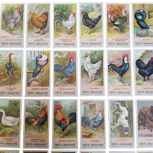 243 - Trading Cards - Advertisement - a complete set Fry's chocolate confectionery trading cards 'Fowls Pi... 