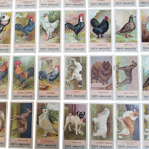 243 - Trading Cards - Advertisement - a complete set Fry's chocolate confectionery trading cards 'Fowls Pi... 