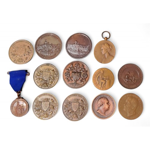 568 - National Rose Society bronze and bronzed  medallions;  others,  General Election Jan 1 1910; Notting... 