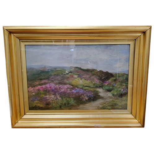 524 - G**Cooper, early 20th century, Moorland Heather, signed, oil on canvas, 34.5cm x 51cm