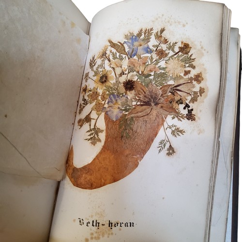 320 - A 19th century souvenir album titled 'Wild Flowers of The Holy Land' Jerusalem, specimen wood marque... 