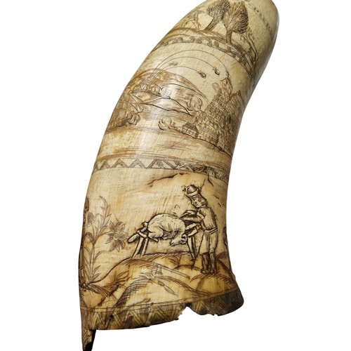 370 - A rare 18th century North American cow horn scrimshaw, engraved with 1759 Battle of Quebec, inscribe... 