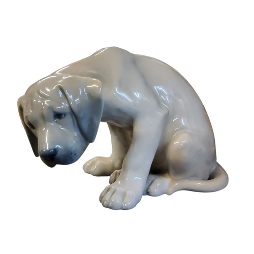 Lot 1         