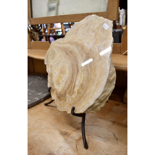 148 - A polished agate slab 30 x 36 cm, on easel stand to/w a heart-shaped slab incorporating belemnite fo... 