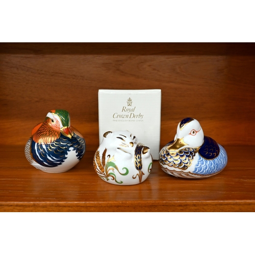 111 - Two Royal Crown Derby 'Duck' paperweights and a Dormouse (3 - latter boxed)