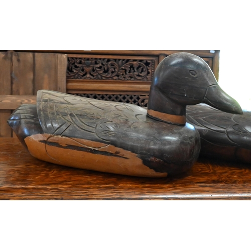 181 - Two carved hardwood duck decoys (not antique), 38 cm to/w a pair of brass classical urn chenets (4)