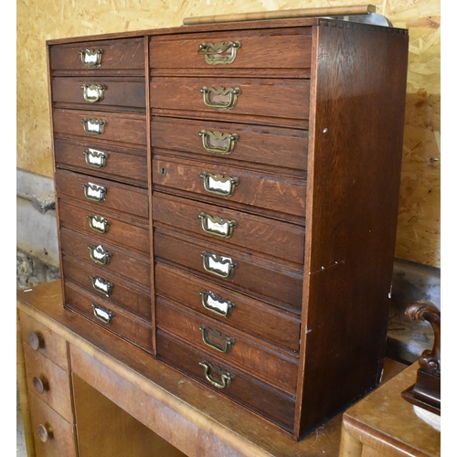 239 - An early 20th century oak sewing/collector's chest with eighteen drawers and brass handles, 78 cm wi... 