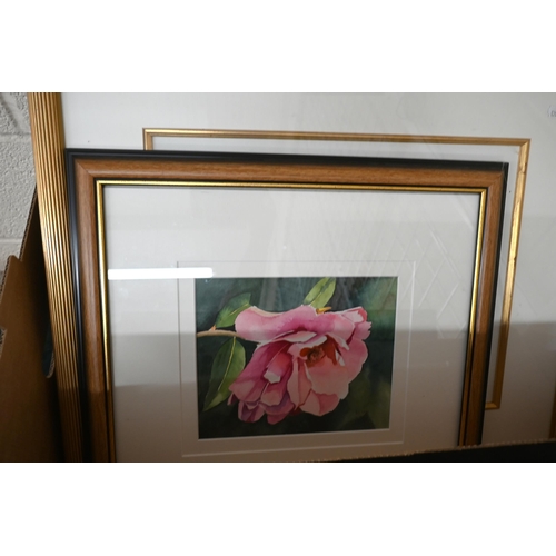 313 - Ianthe Hudson - Collection of various contemporary watercolour studies - flowers and still life (box... 