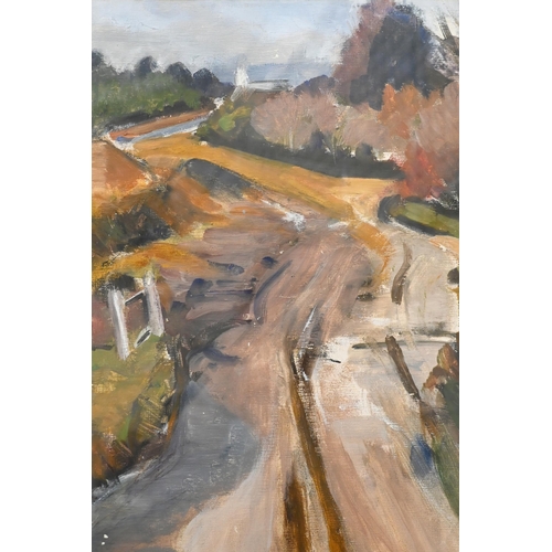 322 - Pauline Sullivan - 'Applemore Hill', oil on canvas, 34 x 29 cm