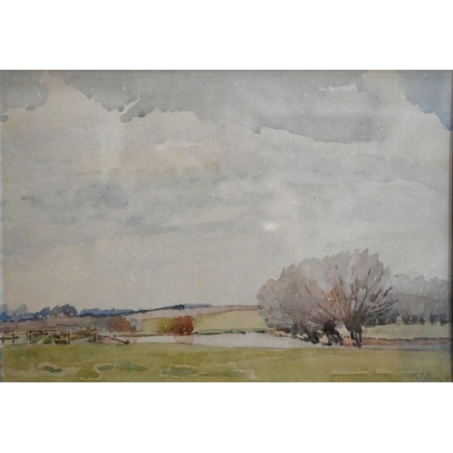 333 - Thomas Collier (1840-1891) - East Anglian landscape, watercolour, signed lower right, 17 x 25 cm, Th... 