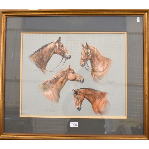 359 - Stanley Ricketts - Horse head studies 'MacHeath' and 'Tang Hoe', pastel, 40 x 50 cm and pencil studi... 