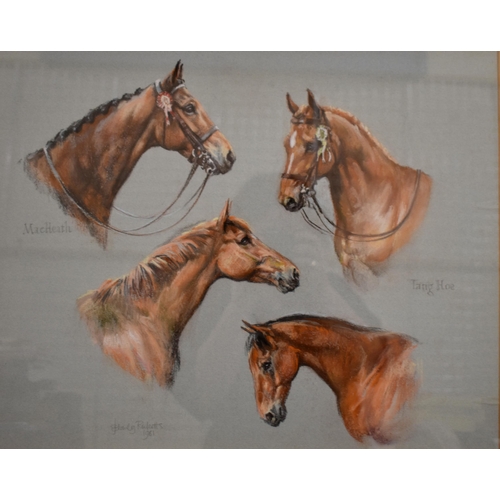 359 - Stanley Ricketts - Horse head studies 'MacHeath' and 'Tang Hoe', pastel, 40 x 50 cm and pencil studi... 