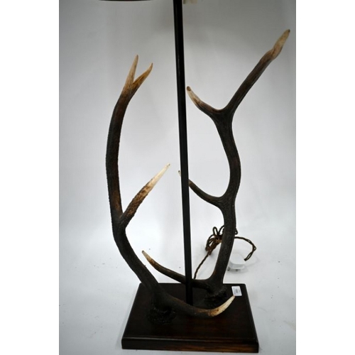 497 - The Original Bookworks Ltd, an antler mounted table lamp, raised on a rectangular wooden base, appro... 