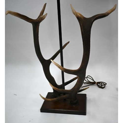 498 - The Original Bookworks Ltd, a companion pair of antler mounted table lamps, raised on a wood plinth ... 