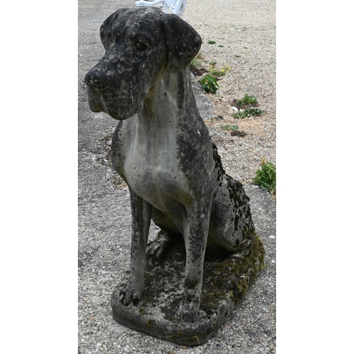 1 - A pair of large weathered reconstituted stone Great Dane garden statues, 115 cm high