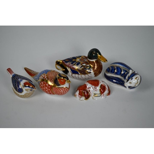 68 - Five Royal Crown Derby paperweights - Pheasant, Duck, Fox, bird and sleeping dog (5)