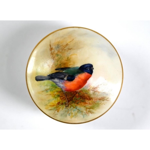 71 - A Royal Worcester small pot and cover, painted with a bullfinch, 1901 (cover mark incomplete), 6.5 c... 