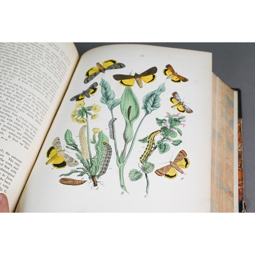 1023 - Kirby, W F - European Butterflies and Moths, sixty-one hand-coloured engraved plates, London - Casse... 