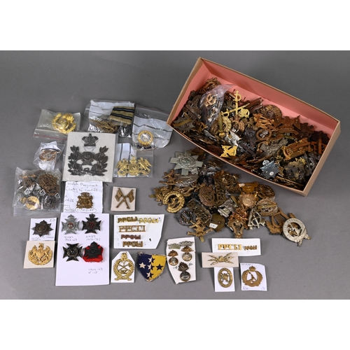 1116 - A large quantity of mostly British military cap badges, late 19th century and later, some duplicates... 