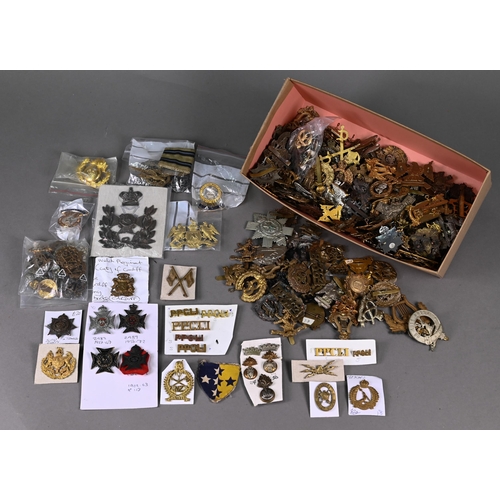 1116 - A large quantity of mostly British military cap badges, late 19th century and later, some duplicates... 