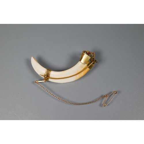 265 - An Indian boar tusk brooch with gilt-metal filigree mounts, and red stone, 7 cm long fitted with saf... 