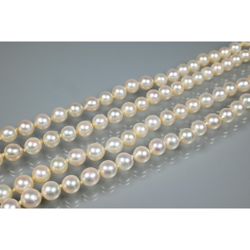 271 - A double row of circular cultured pearls, double knotted throughout onto white metal and diamond set... 